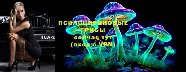 СК Арсеньев