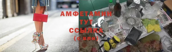гидра Алексеевка