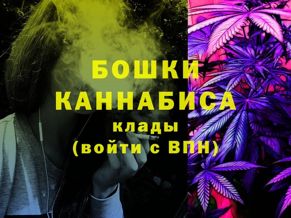 СК Арсеньев