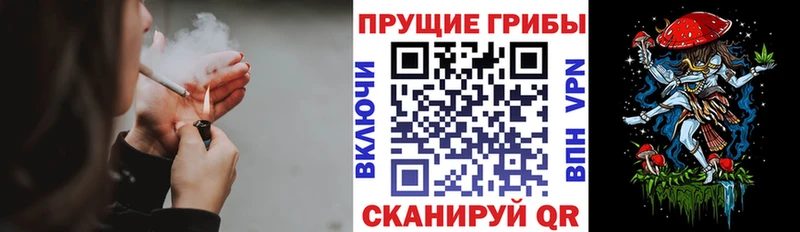 Псилоцибиновые грибы Cubensis  гидра ССЫЛКА  Тогучин 