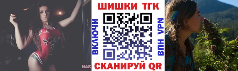 где купить Тогучин Канабис индика